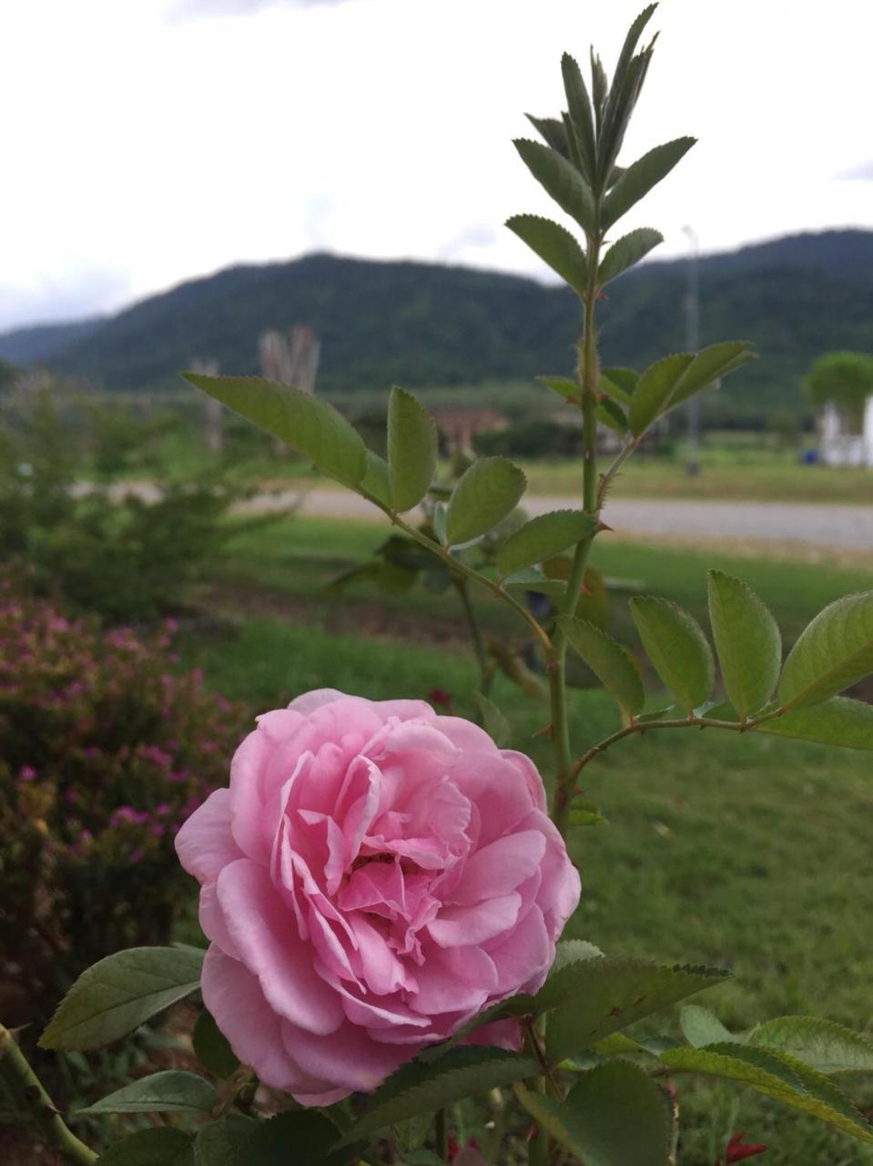Samerdrow Khao Yai Mu Si Exteriér fotografie